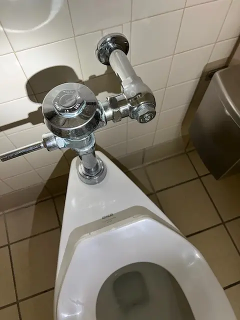 Fixture installation and repair for Garbage Disposal in Forest Creek